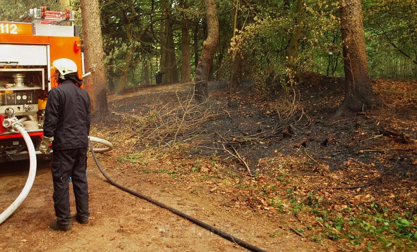 Waldbrand Bergisch Gladbach Bensberg P067.JPG